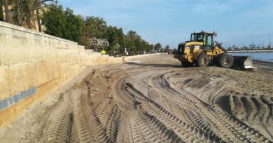 Dénia presenta las primeras medidas para garantizar la seguridad e higiene en sus playas Dénia presenta las primeras medidas para garantizar la seguridad e higiene en sus playas