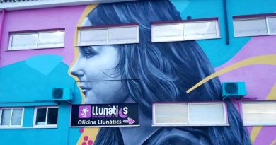Juventud Dénia ofrece cursos en linea de los programas Llunàtics y Dinàmics para el verano Juventud Dénia ofrece cursos en linea de los programas Llunàtics y Dinàmics para el verano