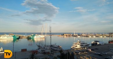 El proyecto de Baleària para contribuir a la renaturalización  recupera hasta 30 especies marinas