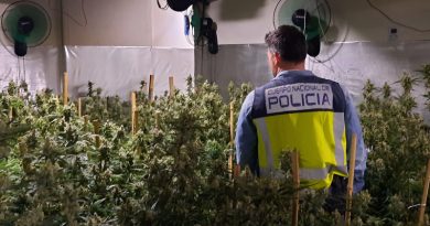 Desmantelada una plantación de marihuana en lujoso chalet de la zona de les Rotes en Dénia Desmantelada una plantación de marihuana en lujoso chalet de la zona de les Rotes en Dénia
