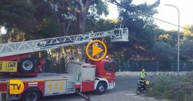 Nueva actuación de los bomberos en las Rotas para la retirada de grandes ramas Nueva actuación de los bomberos en las Rotas para la retirada de grandes ramas