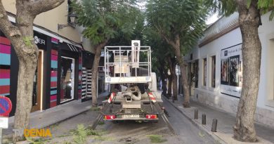 Cortes de tráfico en Dénia por la poda de árboles en la calle Carlos Sentí