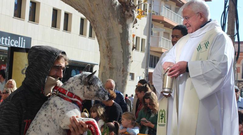 Los animales son bendecidos por Sant Antoni en Dénia