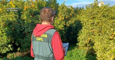 Detenidas cuatro personas buscadas por organismos judiciales durante una inspección agrícola en Pego