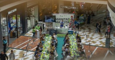 Portal de la Marina vuelve a batir récord de afluencia, registrando un aumento de más del 5% de visitas respecto al año anterior