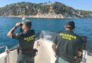 La Guardia Civil realiza varias actas a embarcaciones por fondear en praderas de posidonia en la bahía de Jávea