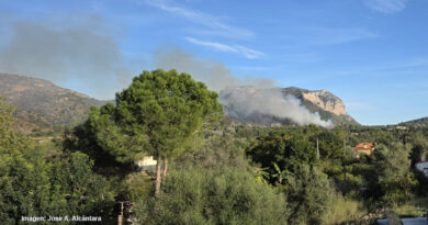Incendio forestal en la carretera de Jesús Pobre Incendio forestal en la carretera de Jesús Pobre