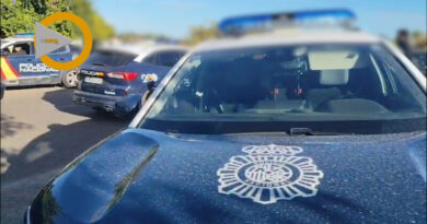 La Policía Nacional de Dénia desmantela una plantación de marihuana en un chalet