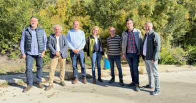 Xàbia ejecuta trabajos forestales de retirada de pinos secos