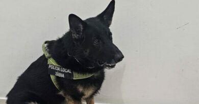 El agente canino KOSMO ayuda en la detención de un individuo por presunto tráfico de drogas