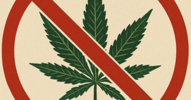 El Ajuntament de Dénia suspende la concesión de licencias para locales vinculados a asociaciones de fumadores de cannabis en el centro urbano