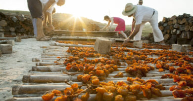 Dénia celebra el 10º aniversario como Ciudad Creativa de la Gastronomía
