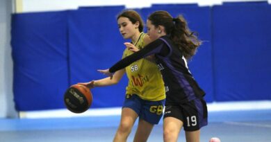 Los equipos benjamines y alevines del DBC avanzan en sus competiciones Los equipos benjamines y alevines del DBC avanzan en sus competiciones