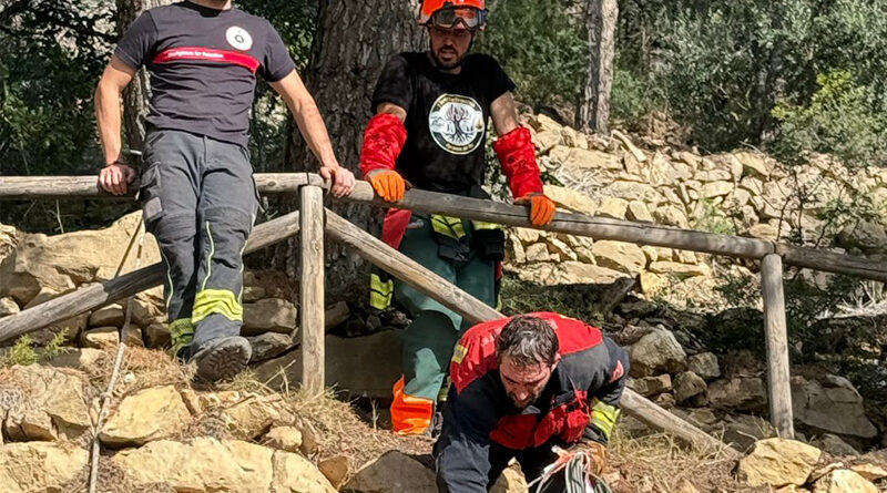 Bomberos voluntarios refuerzan la zona cortafuegos en Xábia Bomberos voluntarios refuerzan la zona cortafuegos en Xábia