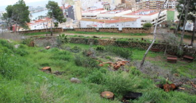 El Castillo abre parcialmente el acceso al público