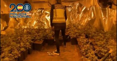 La Policía Nacional desmantela una plantación indoor de marihuana  en Pedreguer