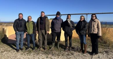 Xàbia recupera el pastoreo tradicional para proteger el Montgó del fuego