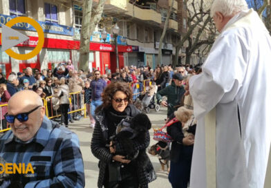 La tradición de San Antonio reúne a vecinos y mascotas en  Dénia