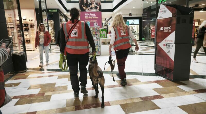 Portal de la Marina colabora con una práctica real de Mantrailing acogiendo un entrenamiento especializado en sus instalaciones