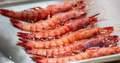 Ocho cocineros competirán por la mejor versión de la gamba roja de Dénia