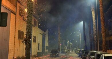 Un incendio en una palmera se extiende a una fábrica en Dénia sin causar heridos