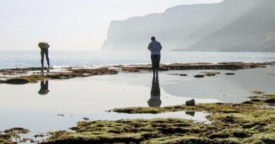 Triplete de Alfredo Sanz Moncho en el  XXX Concurso de fotografía Tema Dénia