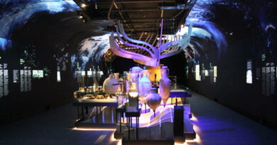 La exposición «Dénia Arqueología y Museo», se despide del MARQ La exposición «Dénia Arqueología y Museo», se despide del MARQ