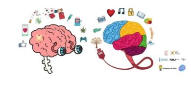 La Xarxa Jove organiza en Dénia un curso sobre conductas adictivas en jóvenes La Xarxa Jove organiza en Dénia un curso sobre conductas adictivas en jóvenes
