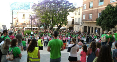 La plaza de la Constitución de Dénia se tiñe de verde La plaza de la Constitución de Dénia se tiñe de verde