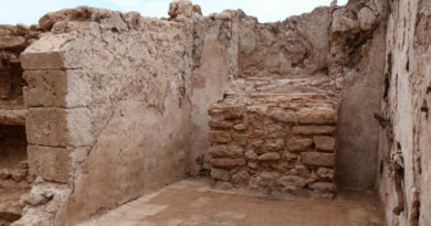 Dénia muestra los secretos del Portal dels Socors y el Verger Baix con recorridos guiados