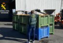 La Guardia Civil investiga a cinco personas por la venta de más de 33 toneladas de naranjas de origen ilícito