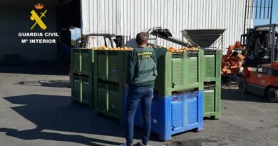 La Guardia Civil investiga a cinco personas por la venta de más de 33 toneladas de naranjas de origen ilícito