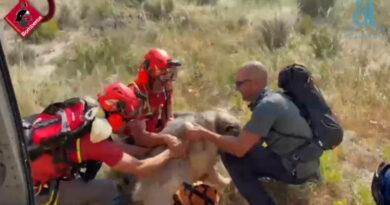 Rescate de altura para un gigante de cuatro patas en la Vall de Gallinera
