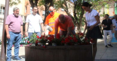 La ciudad de Dénia más floreada con la campaña Di Dipladenia La ciudad de Dénia más floreada con la campaña Di Dipladenia