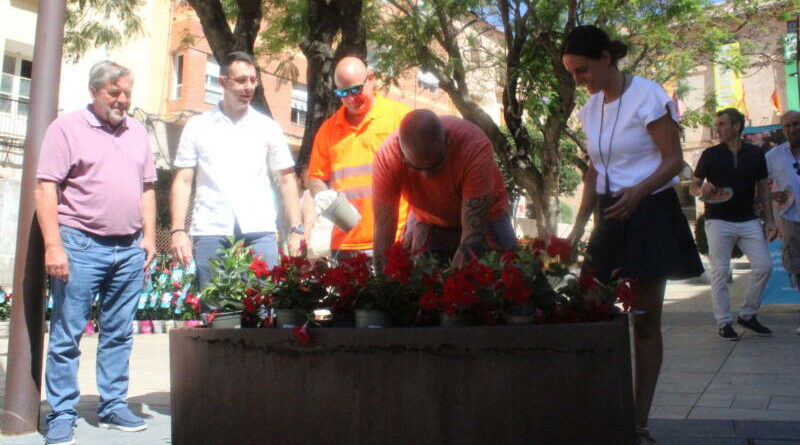 La ciudad de Dénia más floreada con la campaña Di Dipladenia La ciudad de Dénia más floreada con la campaña Di Dipladenia