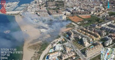 Incendio en Dénia en una zona de vegetación y cañar Incendio en Dénia en una zona de vegetación y cañar