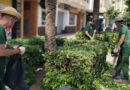 El Alumnado de Jardinería del Taller de Empleo Marina Alta XV de CREAMA continua su itinerario de prácticas en los parques y Jardines de Calp