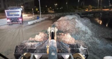 Dénia retira casi 400 toneladas de posidonia tras el temporal del pasado fin de semana Dénia retira casi 400 toneladas de posidonia tras el temporal del pasado fin de semana