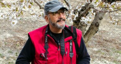 Paco Adsuar dona al Arxiu de Dénia más de 50.000 imágenes de la memoria visual de la ciudad Paco Adsuar dona al Arxiu de Dénia más de 50.000 imágenes de la memoria visual de la ciudad
