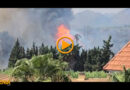 Un incendio de vegetación en Dénia provoca fuerte humareda y alguna explosión Un incendio de vegetación en Dénia provoca fuerte humareda y alguna explosión