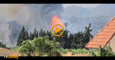 Un incendio de vegetación en Dénia provoca fuerte humareda y alguna explosión Un incendio de vegetación en Dénia provoca fuerte humareda y alguna explosión