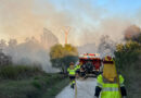 Incendio extinguido en el Saladar de Xàbia