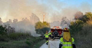 Incendio extinguido en el Saladar de Xàbia