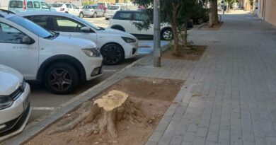 Opinión Gent de Dénia: Biodiversidad, mantenimiento y… coherencia Opinión Gent de Dénia: Biodiversidad, mantenimiento y… coherencia