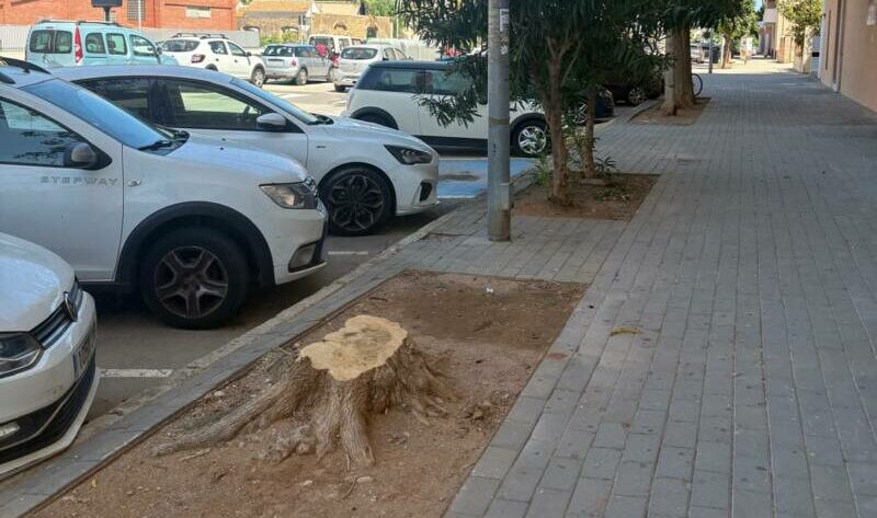 Opinión Gent de Dénia: Biodiversidad, mantenimiento y… coherencia