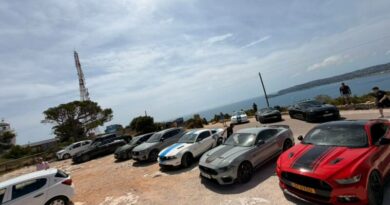 La concentración de coches Mustang vuelve a Dénia y se solidariza con el cáncer infantil La concentración de coches Mustang vuelve a Dénia y se solidariza con el cáncer infantil
