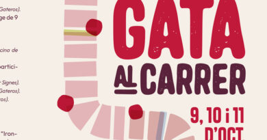 La Fira Gata al Carrer vuelve con tres días de actividades, gastronomía y artesanía